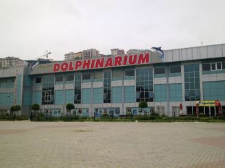 Dolphinarium, Istanbul